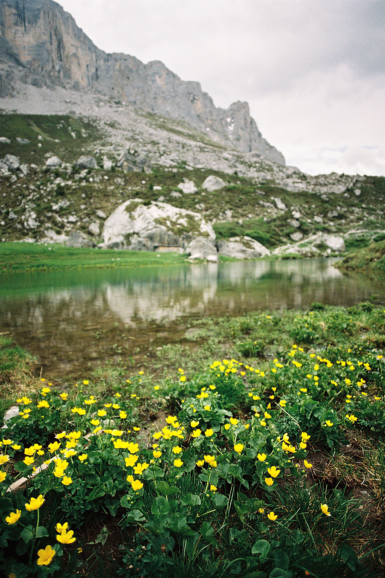 La Suisse entre lacs et montagnes