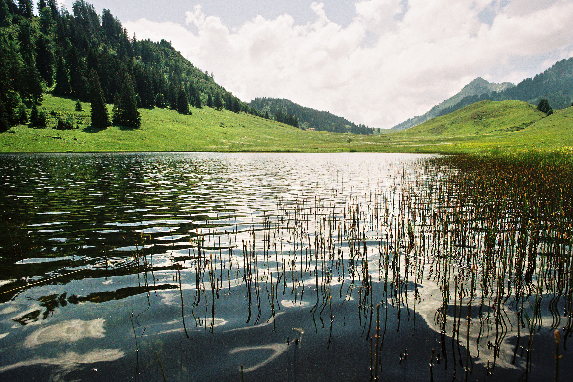 La Suisse entre lacs et montagnes