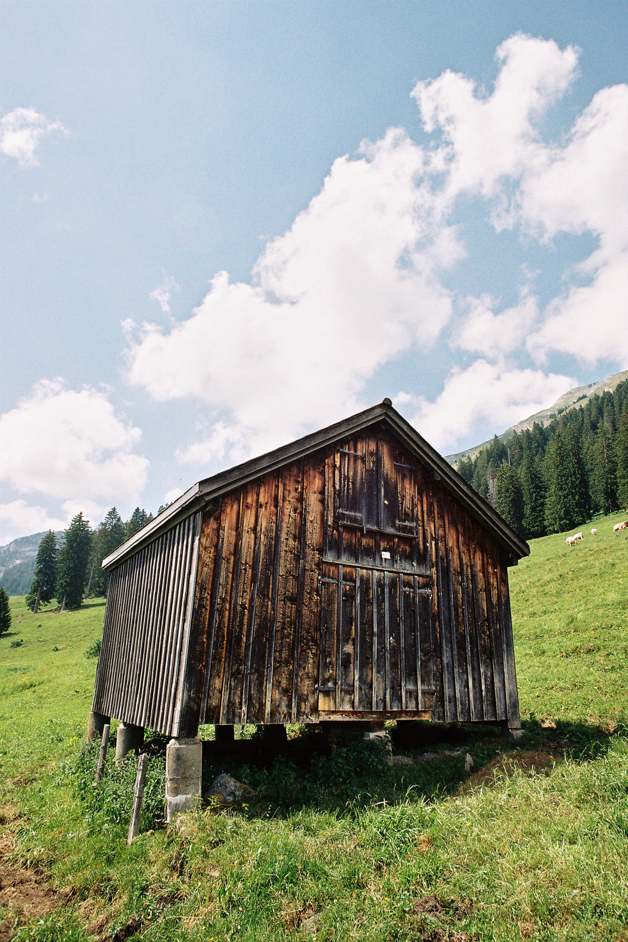 La Suisse entre lacs et montagnes